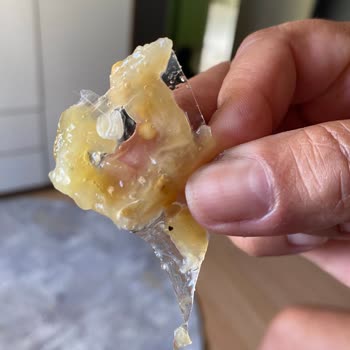 Yurdum Konserve Közlenmiş Patlıcan İçerisinde Naylon Bulunması