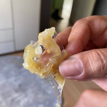 Yurdum Konserve Közlenmiş Patlıcan İçerisinde Naylon Bulunması