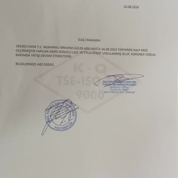 THY'nin Ayıbı Ve İlgisizliği...
