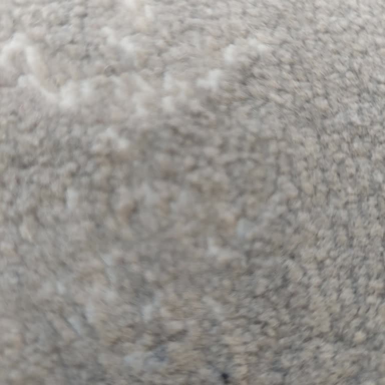 Fuzul Otomotiv Yanlış Bilgilendirme Ve Mağduriyet Yaşadım