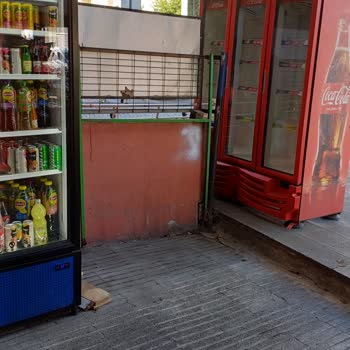 Coca-Cola Dolap Arızası Ve Sonuç Alınamaması