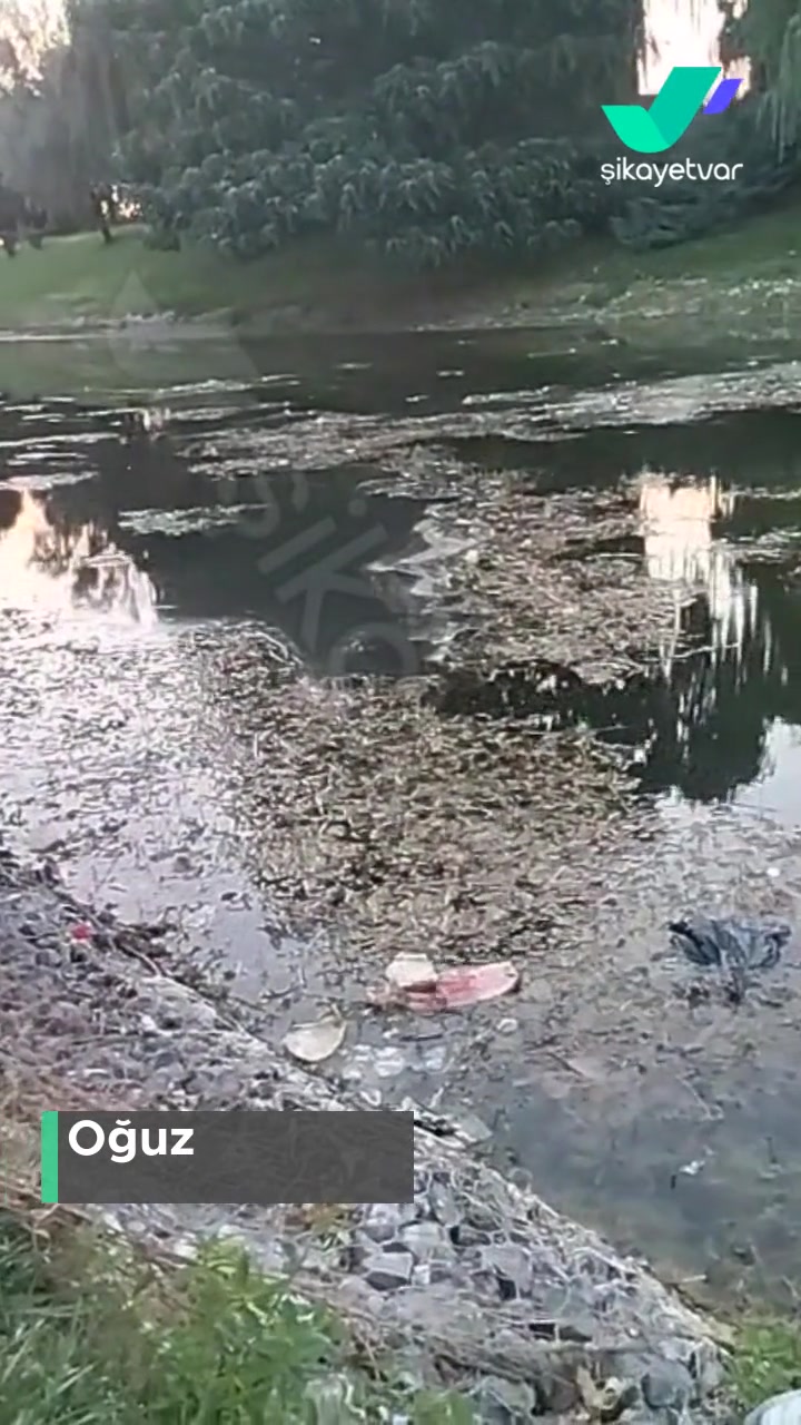 Kentpark Civarı Porsuk Çayı Pisliği videonun kapak resmi