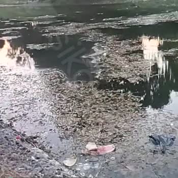 Kentpark Civarı Porsuk Çayı Pisliği