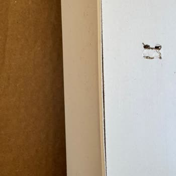 Kargılı Mobilya Siparişimiz Kusurlu Geldi