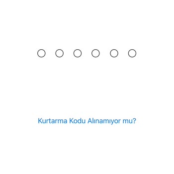 İPhone İCloud Olmayan Kurtarma Kişisi Problemi