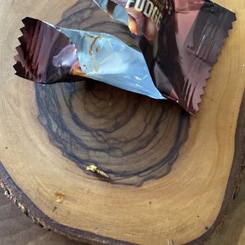 Patiswiss Çikolatamdan Vida Çıktı