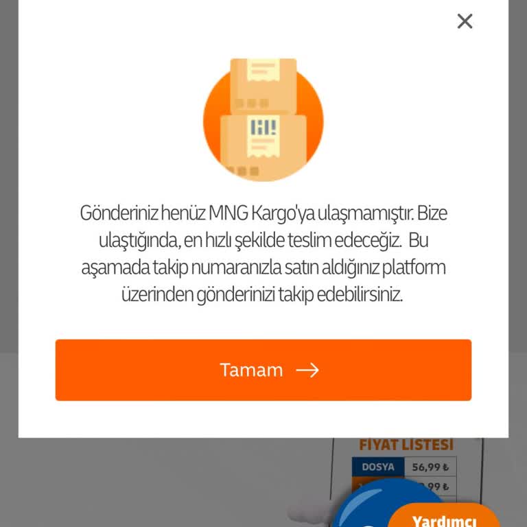 MNG Kargo İle Gümrük Sorunu Ve Gecikme