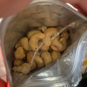 As Merkez Ebebek Kaju Böcekli Çıktı