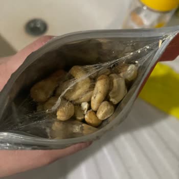 As Merkez Ebebek Kaju Böcekli Çıktı