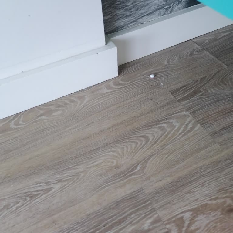 Crystal Hotels Hijyen Ve Müşteri Portföyü