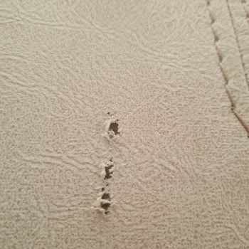 Vivense Hatalı Ürünün Arkasında Durmuyor