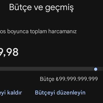 Google Play Play Store Satın Alma Sorunu