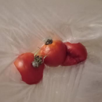 Migros Sanal Market Siparişi