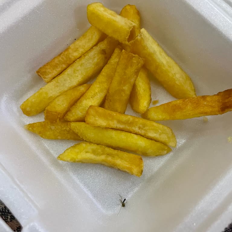 Öncü Döner Yemekten Sinek Çıktı