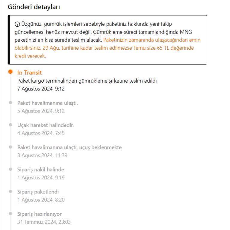 MNG Kargo Temu Siparişim 10 Gündür Gümrükte