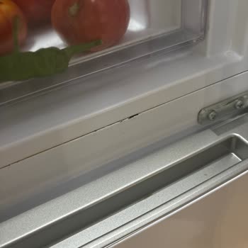 Vestel'den Aldığımız Buzdolabı Küflendi!