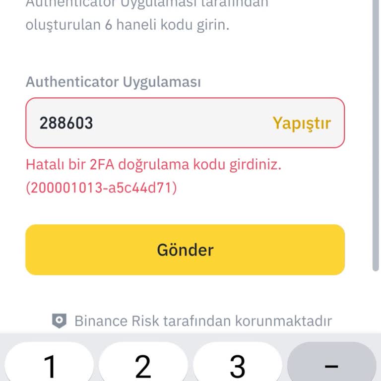 Binance Hesabına Giriş Yapamıyorum