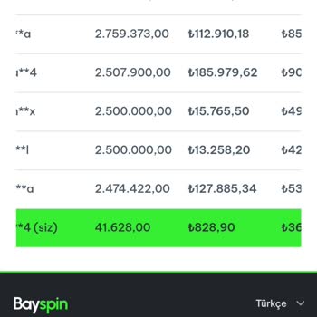 Bayspin'de Yaşadığım Mağduriyet Ve Destek Sorunları
