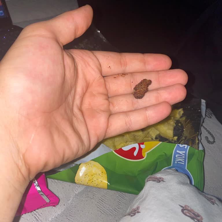 Lays Cipsin İçinden Belirsiz Bir Şey Çıktı