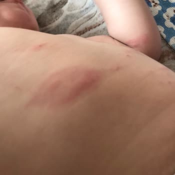 Bebelac Tarihi Geçik Bebek Maması