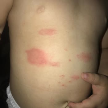 Bebelac Tarihi Geçik Bebek Maması