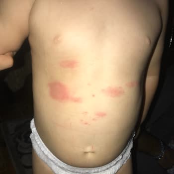 Bebelac Tarihi Geçik Bebek Maması