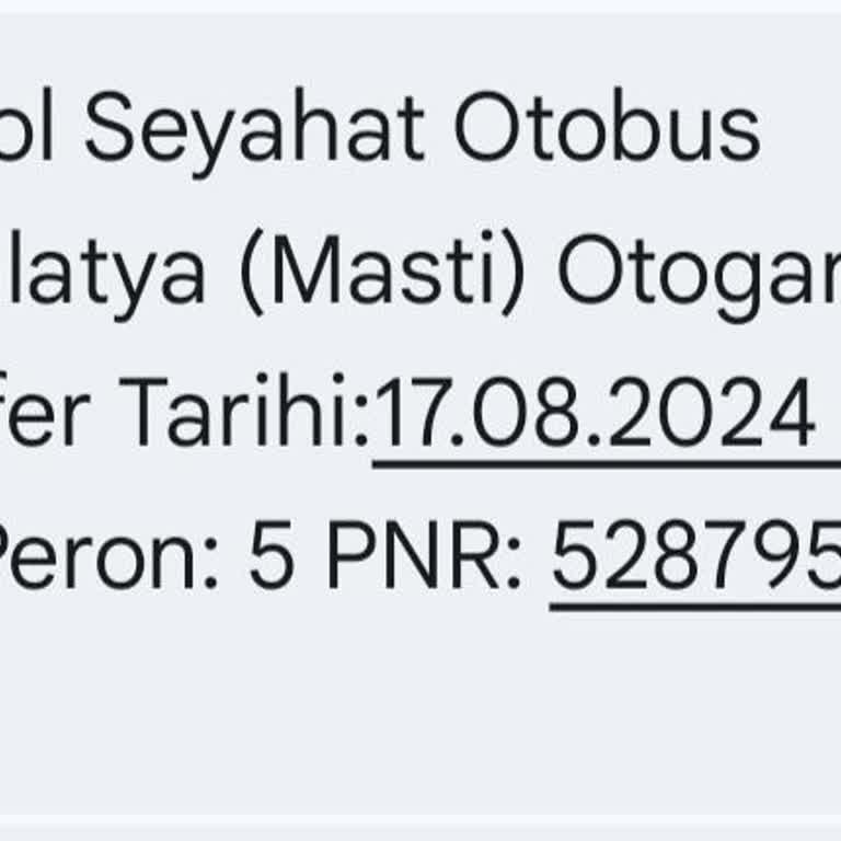 Cesur Bingöl Turizm Otobüsün Erken Kalkması Ve Müşteri Mağduriyeti