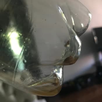 Lipton İce Tea Ve İçinde Yüzen Yabancı Cisimler Bizi Ürkütüyor