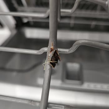 Franke Bulaşık Makinesi Paslanma Sorunu!