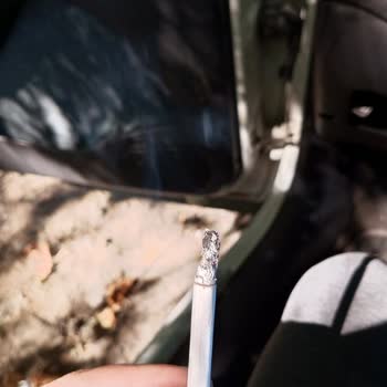 Philip Morris Yakında Ağaç Çıkacak