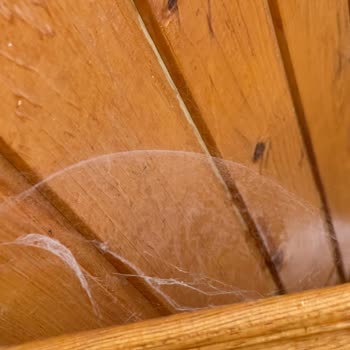 Hazar Bungalov (Elazığ) Faciası