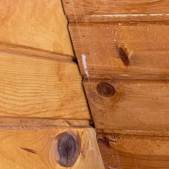 Hazar Bungalov (Elazığ) Faciası