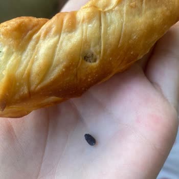Sağlık Bakanlığı Ispanaklı Börekten Böcek Çıkması