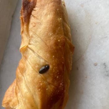 Sağlık Bakanlığı Ispanaklı Börekten Böcek Çıkması