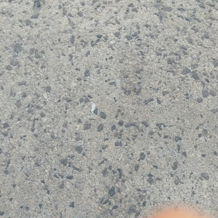 Sigortam.net Çalışan İndirimi Problemi