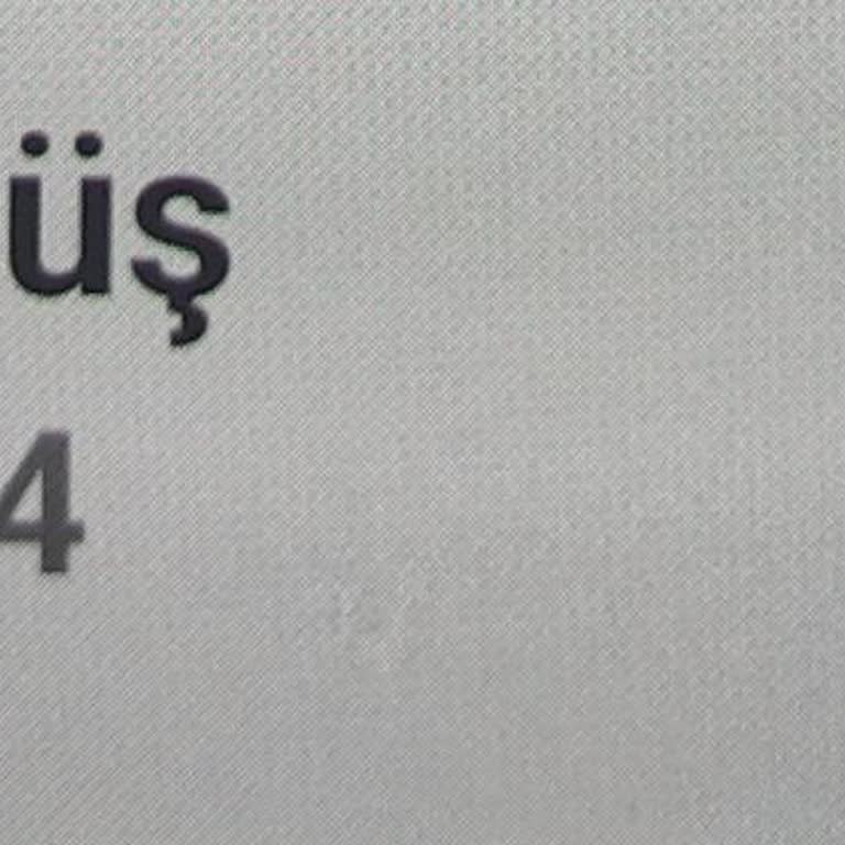 Bozuk Martı Ve Para Çekme