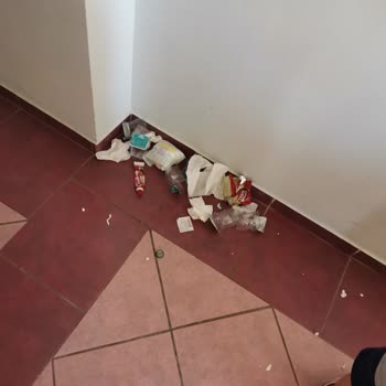 Grand Bahama Beach'te Kötü Deneyimler