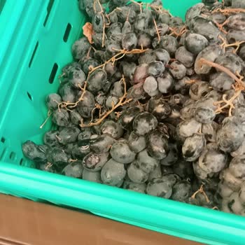 Şok Market Manav Reyonunda Çürük Sebze Ve Meyveler