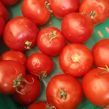 Şok Market Manav Reyonunda Çürük Sebze Ve Meyveler