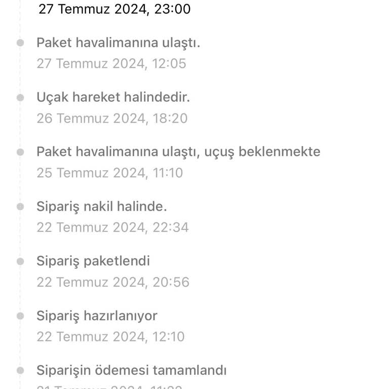 Temu İn Transit Süreci Ve MNG Kargo Hakkında