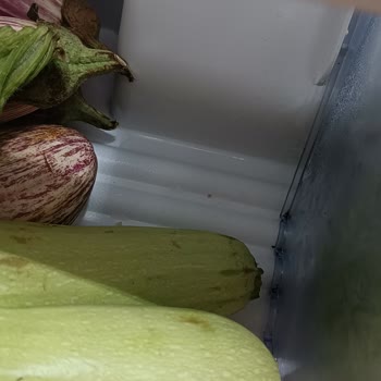 Profilo! Pişmanlıktır, Milletle Dalga Geçmeyin