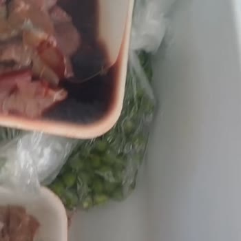 Samsung RF85K90127F Gardırop Tipi Buzdolabı Sorunu