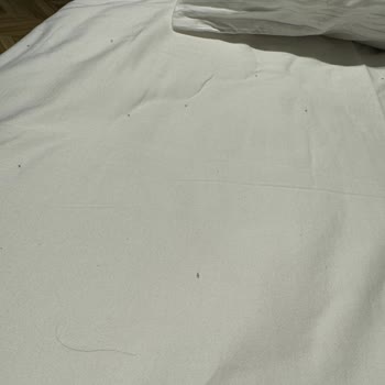 Pelagos Otel Pireli Ve İnsan Artıklı Oda