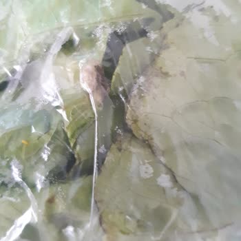 Migros Hemenin Rastgele Ürün Göndermesi