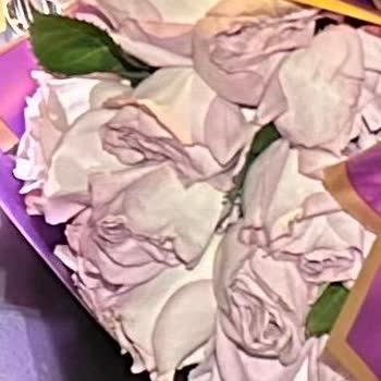 Çiçek Sepeti Hayal Kırıklığı Yaratan Sipariş Deneyimi