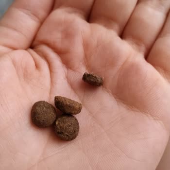 Mamaciteyze.com N&D Somonlu Kedi Maması Orijinalliği Hakkında Şüphelerim Var