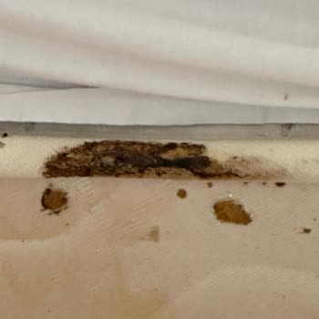 First Class Hotel Alanya Deneyimimizde Yaşadığımız Hijyen Sorunları