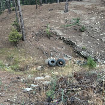 Adana Büyükşehir Belediyesi Adana Ve Türkiye'de Çöp Sorunu