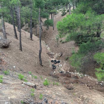 Adana Büyükşehir Belediyesi Adana Ve Türkiye'de Çöp Sorunu