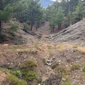 Adana Büyükşehir Belediyesi Adana Ve Türkiye'de Çöp Sorunu